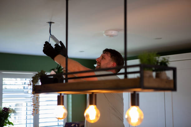 Best Electric Panel Repair  in Hilltop, MN